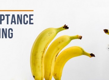 Automated Acceptance Testing or FitNesse to Improve the Quality of Software