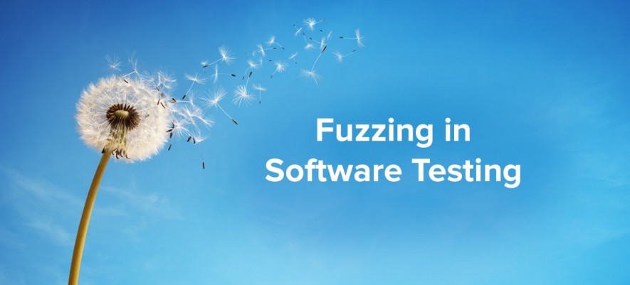 What is Fuzz Testing?