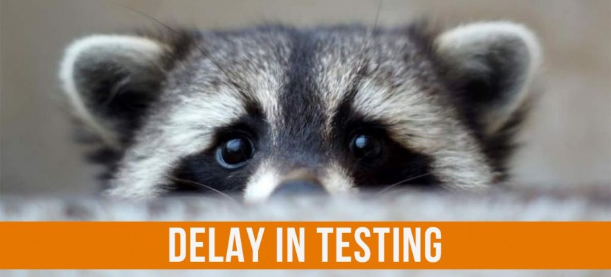 Testing Delay – Headache of Test Managers