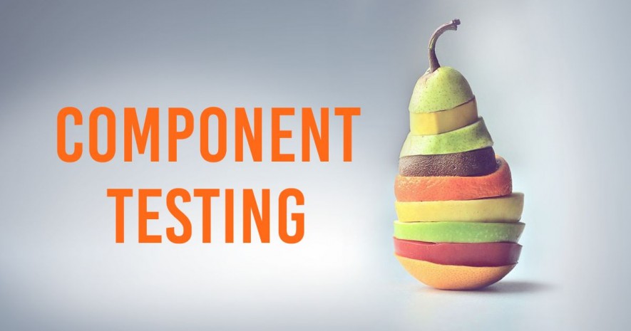 What is Component Testing?