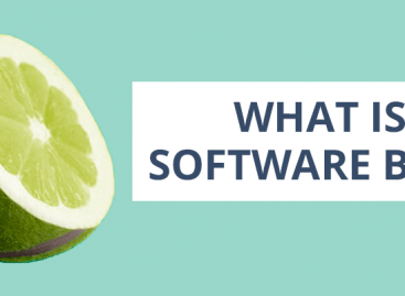 Software Bugs. Definition and Meaning