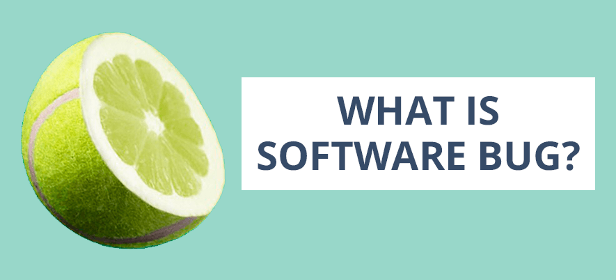 Software Bugs. Definition and Meaning
