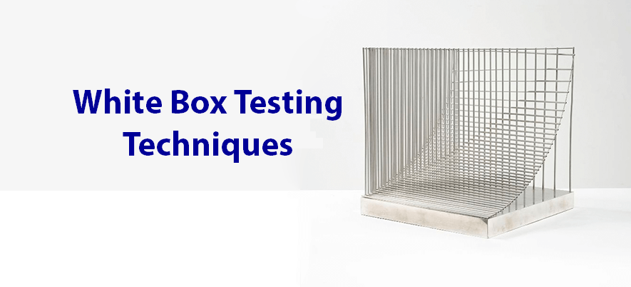 Techniques for White Box Testing
