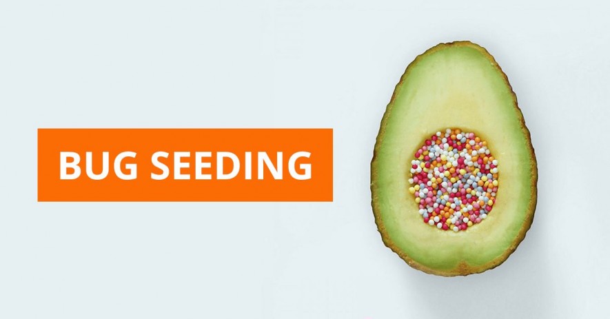 What Is Software Bug Seeding?