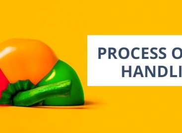 Software Bug Handling Process And Tools
