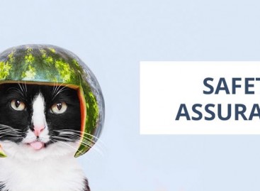 Safety Assurance And Failure Scope
