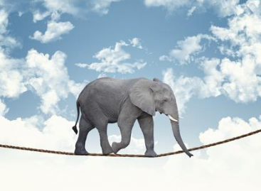 5 Risk Factors in Software Development Process