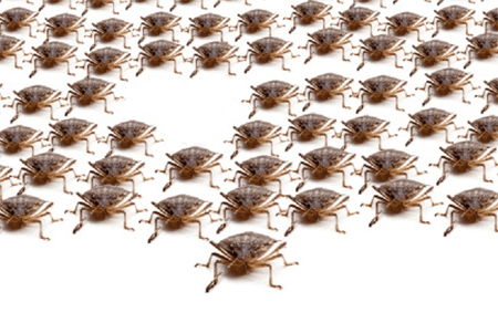 Why to Track Software Bugs Density?