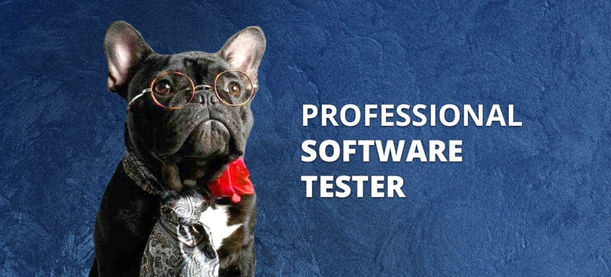 How to Become a Professional Software Tester?