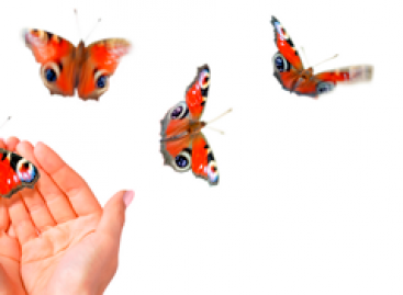 What Bugs Can Be Found During Gesture Tour?