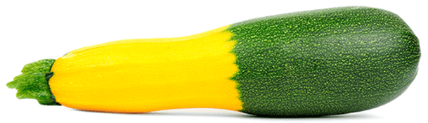 Mobile Hybrid Software Products: pros and cons