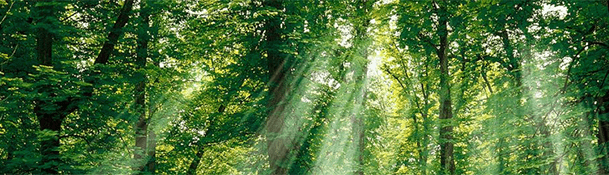 How Environment Impacts Mobile Software Functionality?