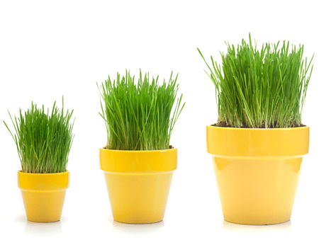 How to Increase Efficiency of Software Testing?