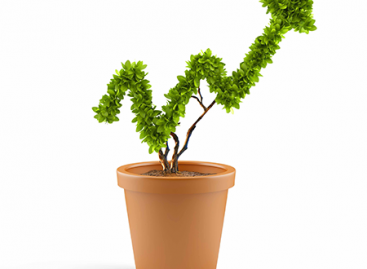 How to Make a Software Testing Process Profitable?
