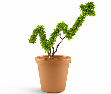 How to Make a Software Testing Process Profitable?