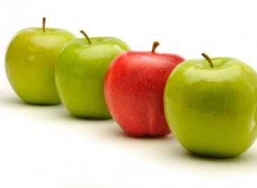 4 Main Inequalities of Testing and Debugging Procedures
