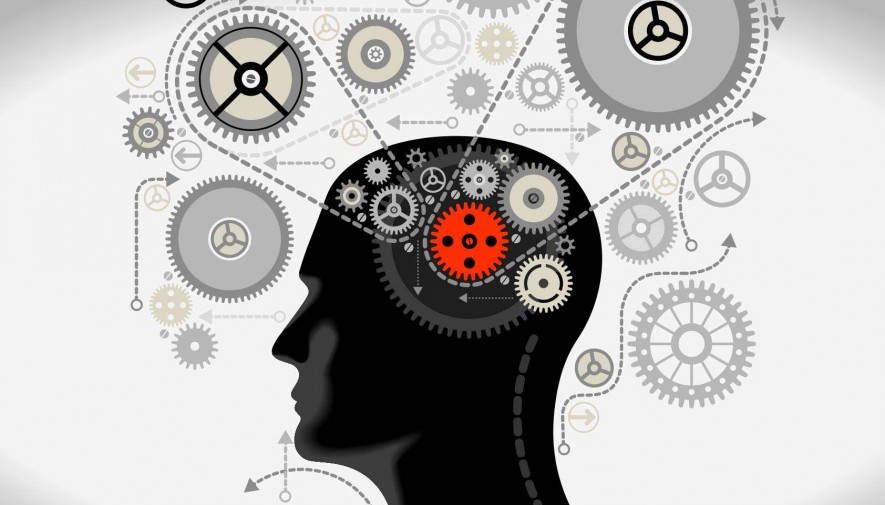 Deceptive Opinion on Usability Testing