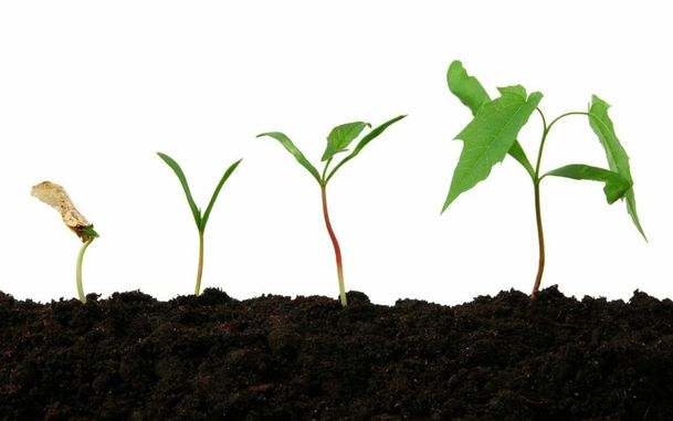 5 Levels of Testing Maturity