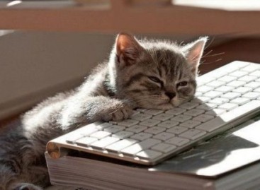 Like Clockwork: What to Do If There Are No Bugs