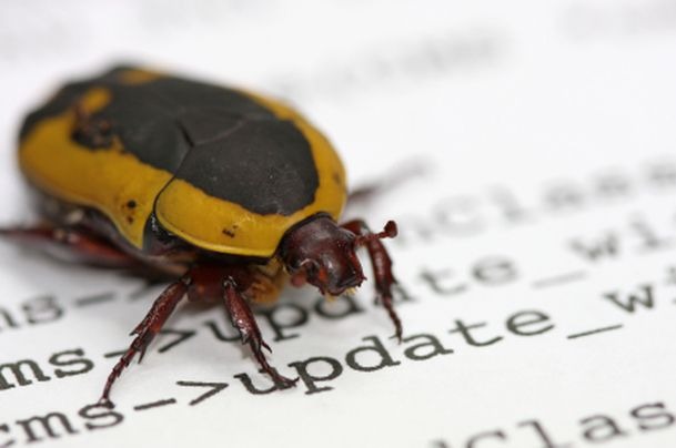 The Most Unusual Bugs
