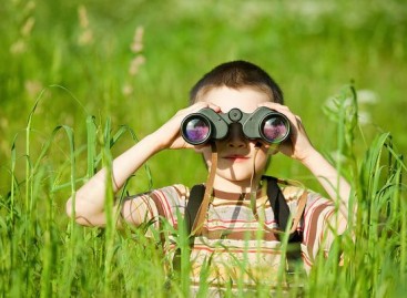 3 Main Points of Exploratory Testing
