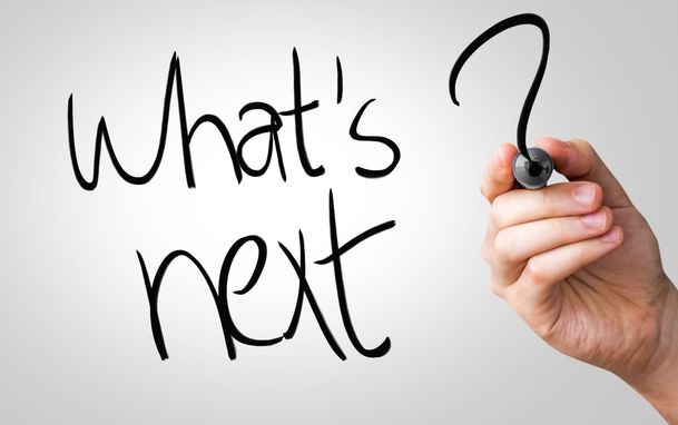 Bug Is Discovered: What Is Next?