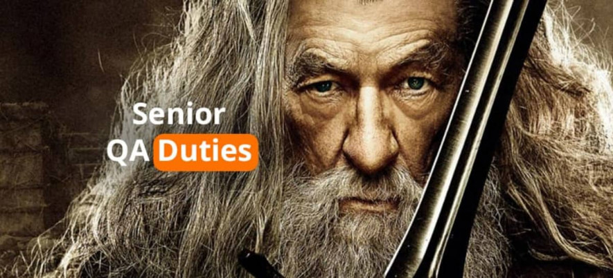 What Are the Duties of Senior Software QA Engineer?