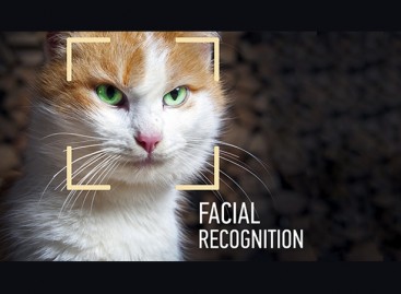 Forget about plastic surgery! Facial recognition is coming