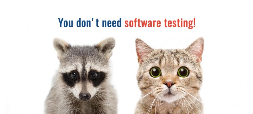 You don’t need software testing, do you?