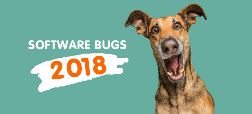 Top Software Bugs 2018