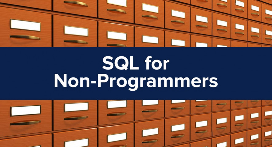 Basics of SQL for Non-programmers. Real Experience