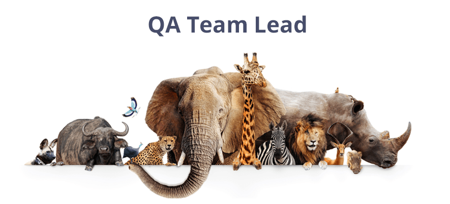 Guide for QA Leads: Responsibilities, Skills, Team Management