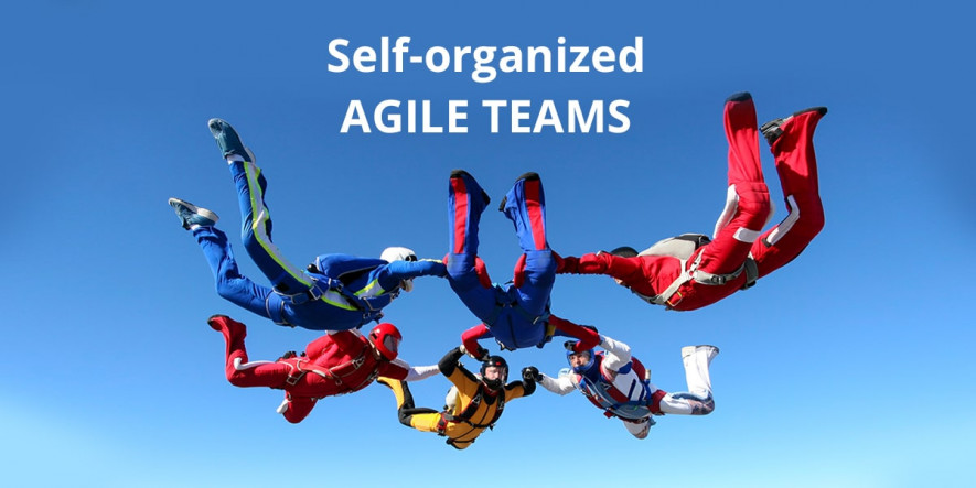 Self-organized Agile Teams are Real or No?