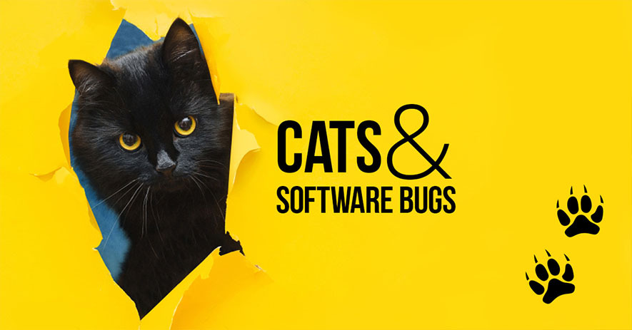 Main Types of Software Testing or Testers-Cats